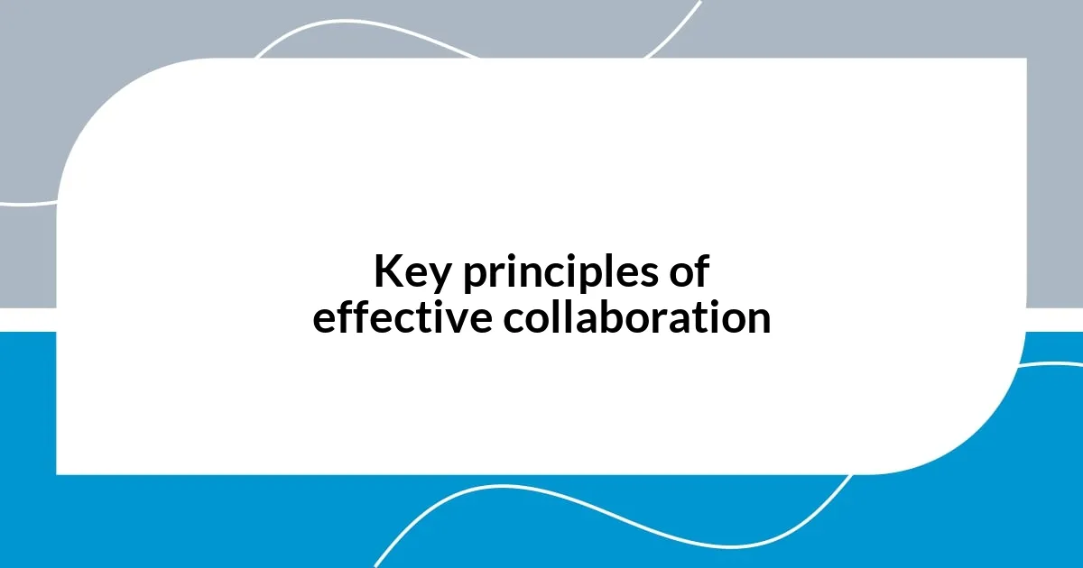 Key principles of effective collaboration